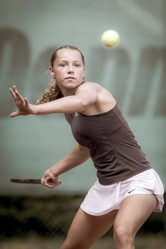 Ausschnitte 254 - Klippeldon